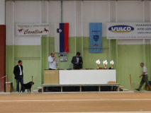 DSCN3407