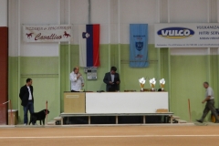 DSCN3407