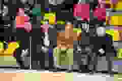 432779965_932058158920614_7476415440349707105_n