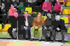 432779965_932058158920614_7476415440349707105_n